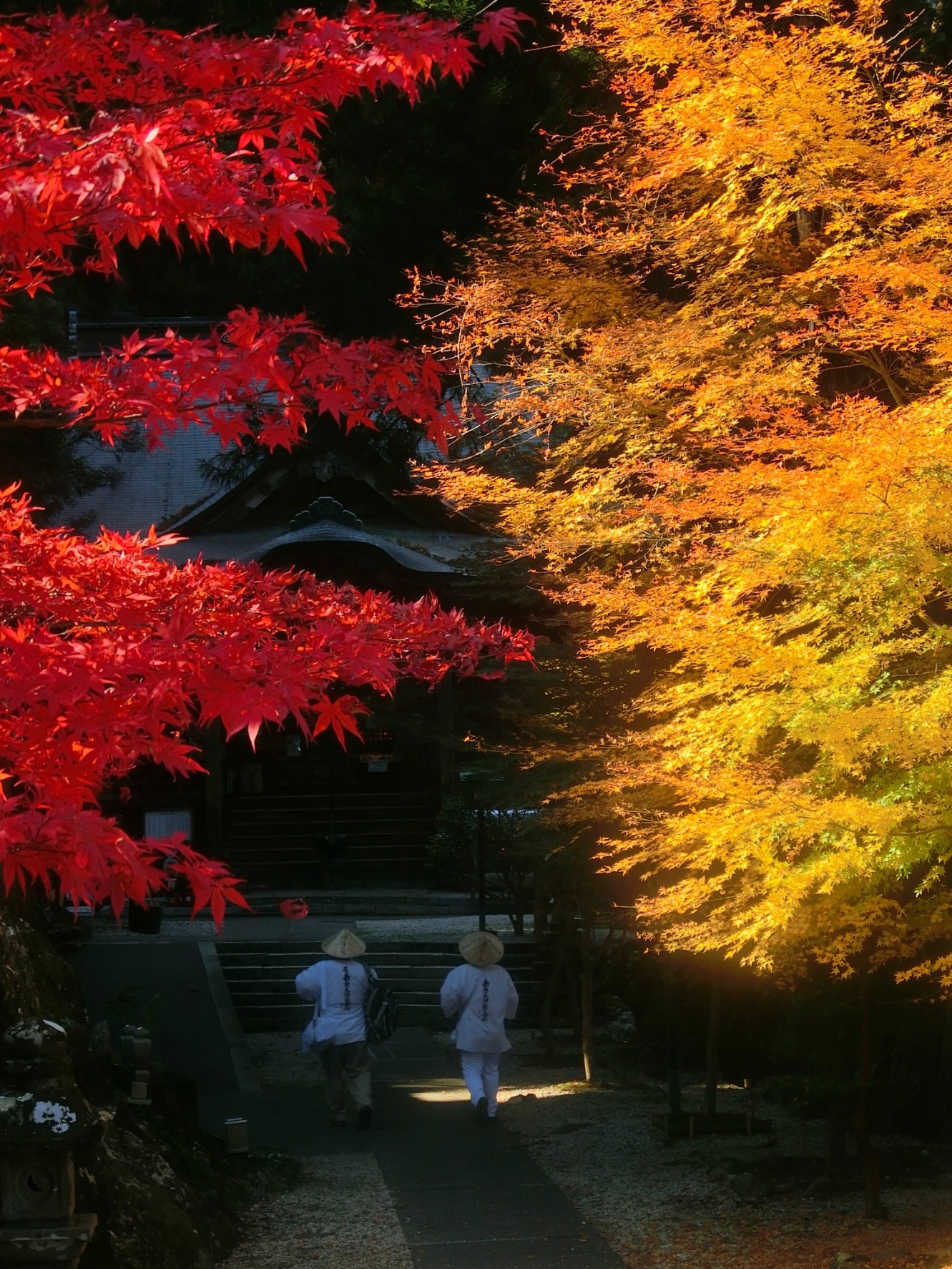 境内の風景