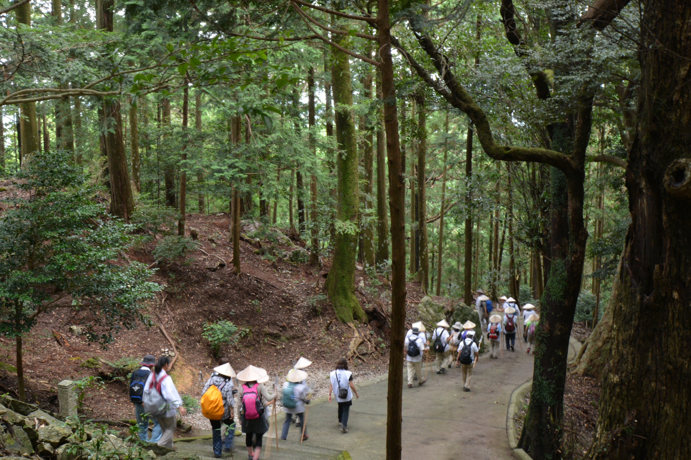 境内の風景