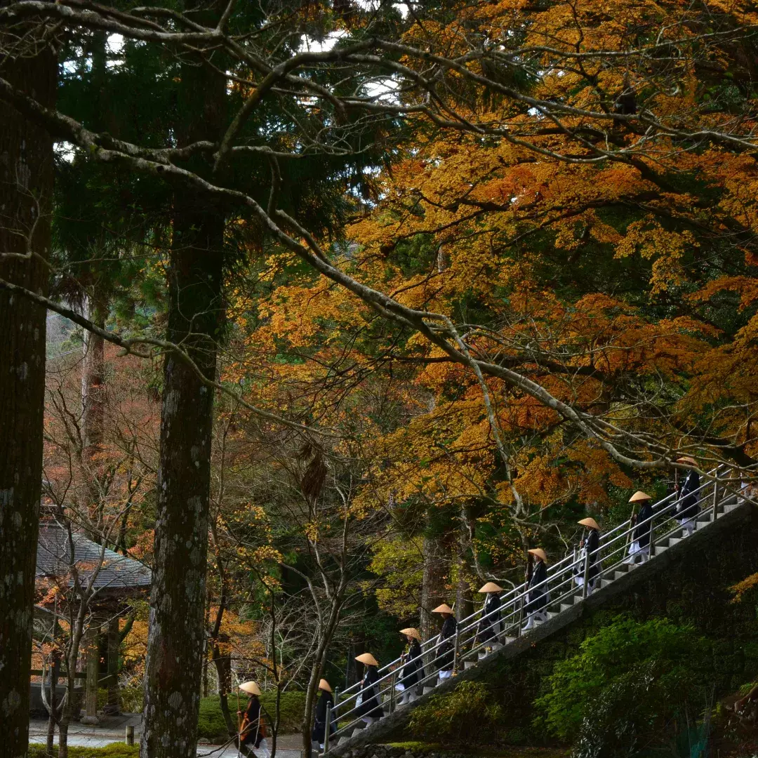 境内の風景