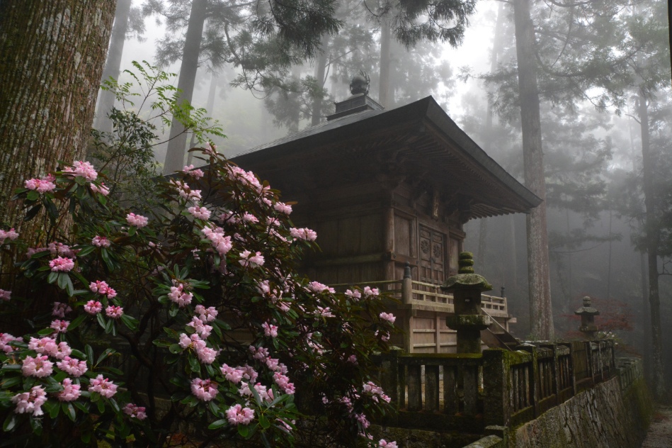境内の風景