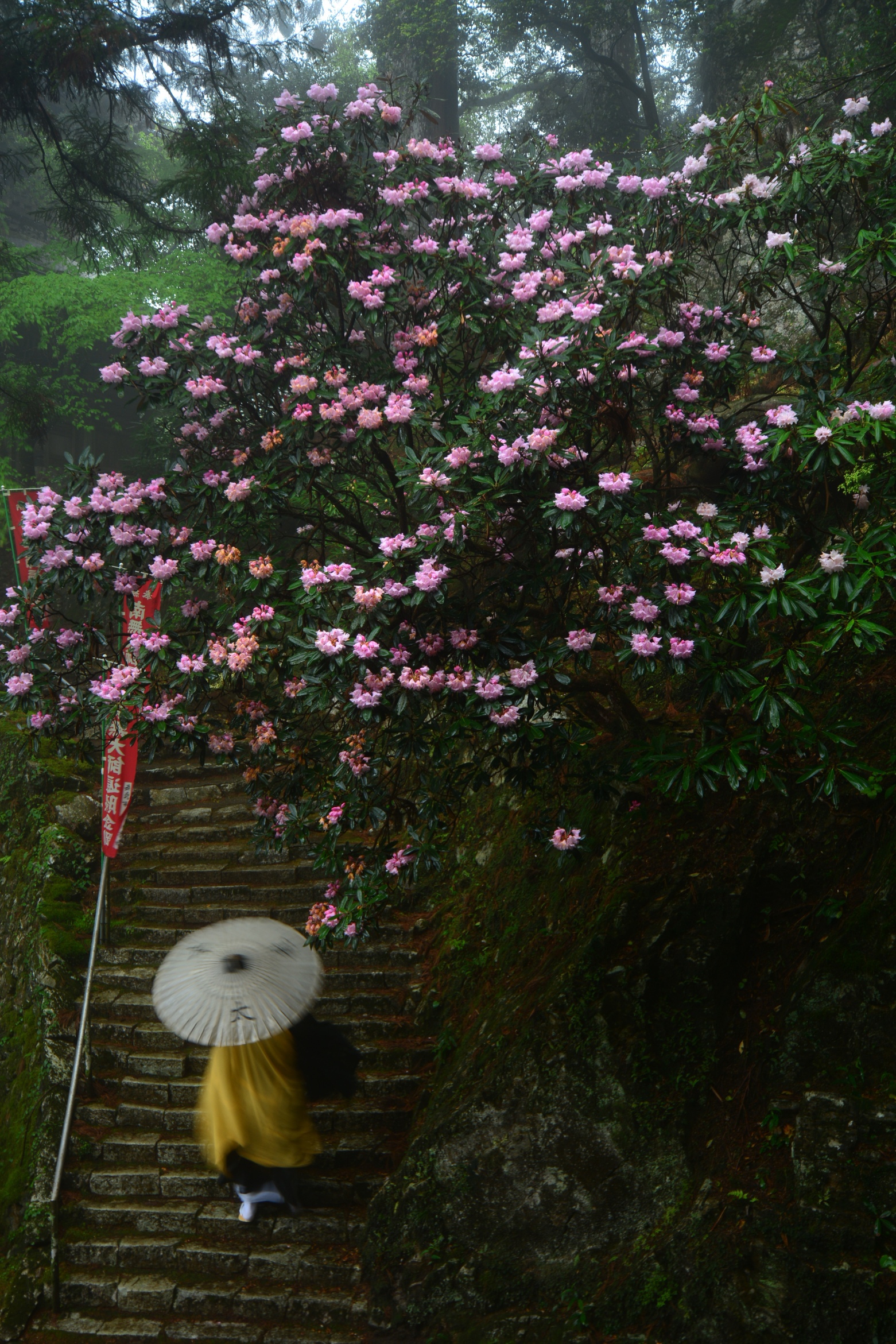 境内の風景