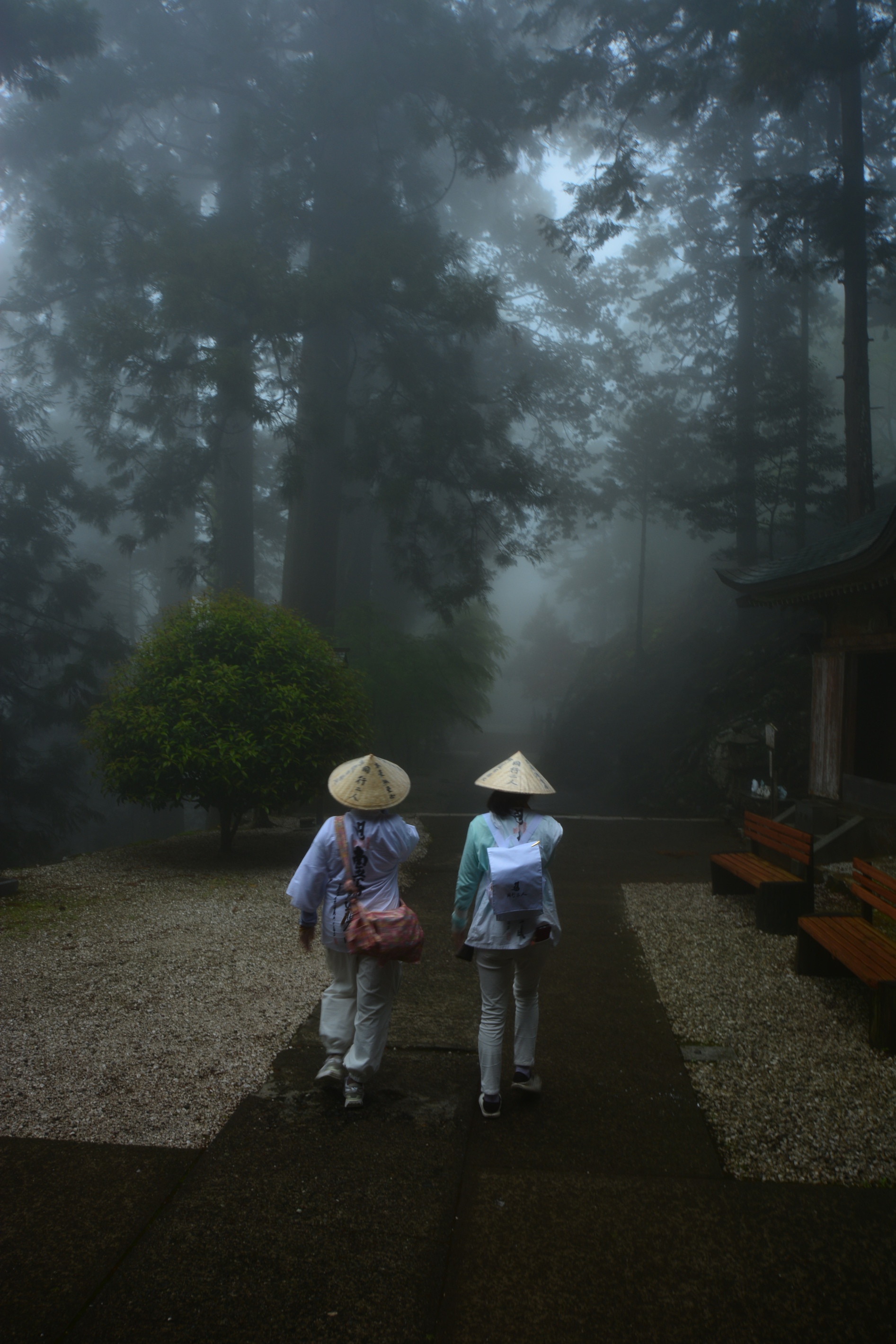 境内の風景