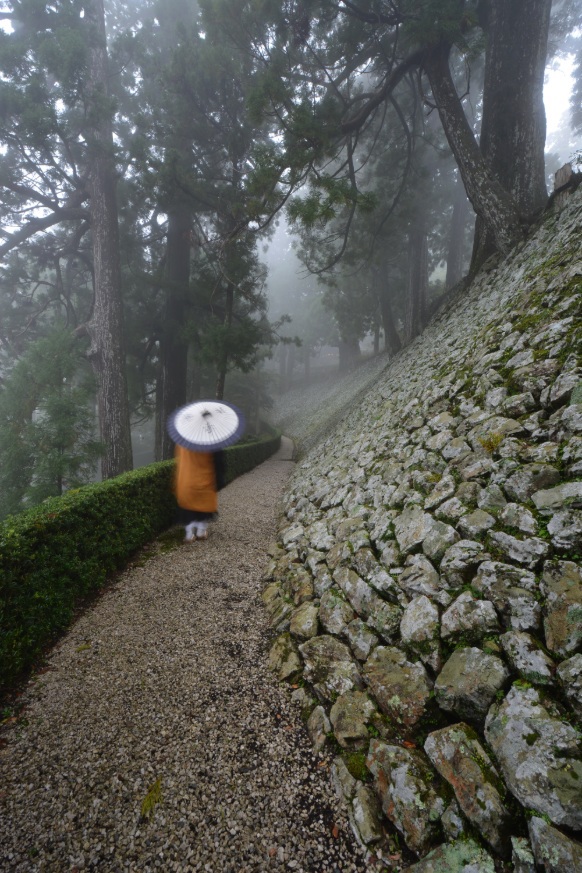 境内の風景