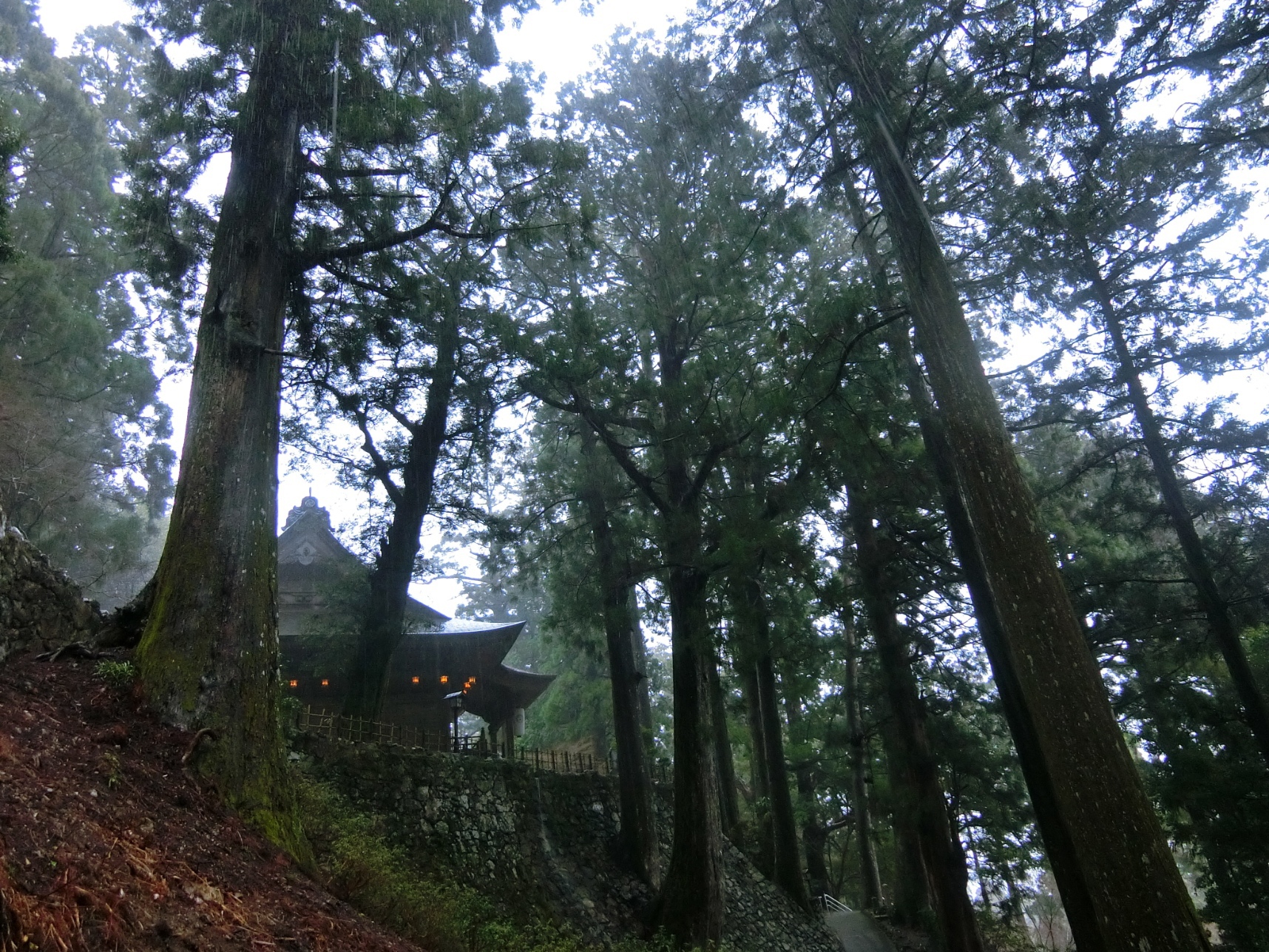 境内の風景