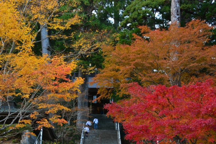 境内の風景