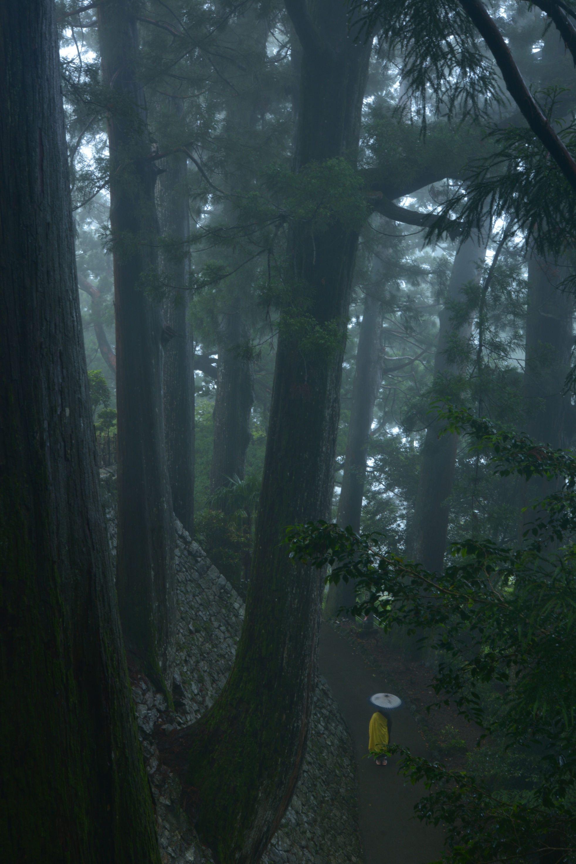 境内の風景