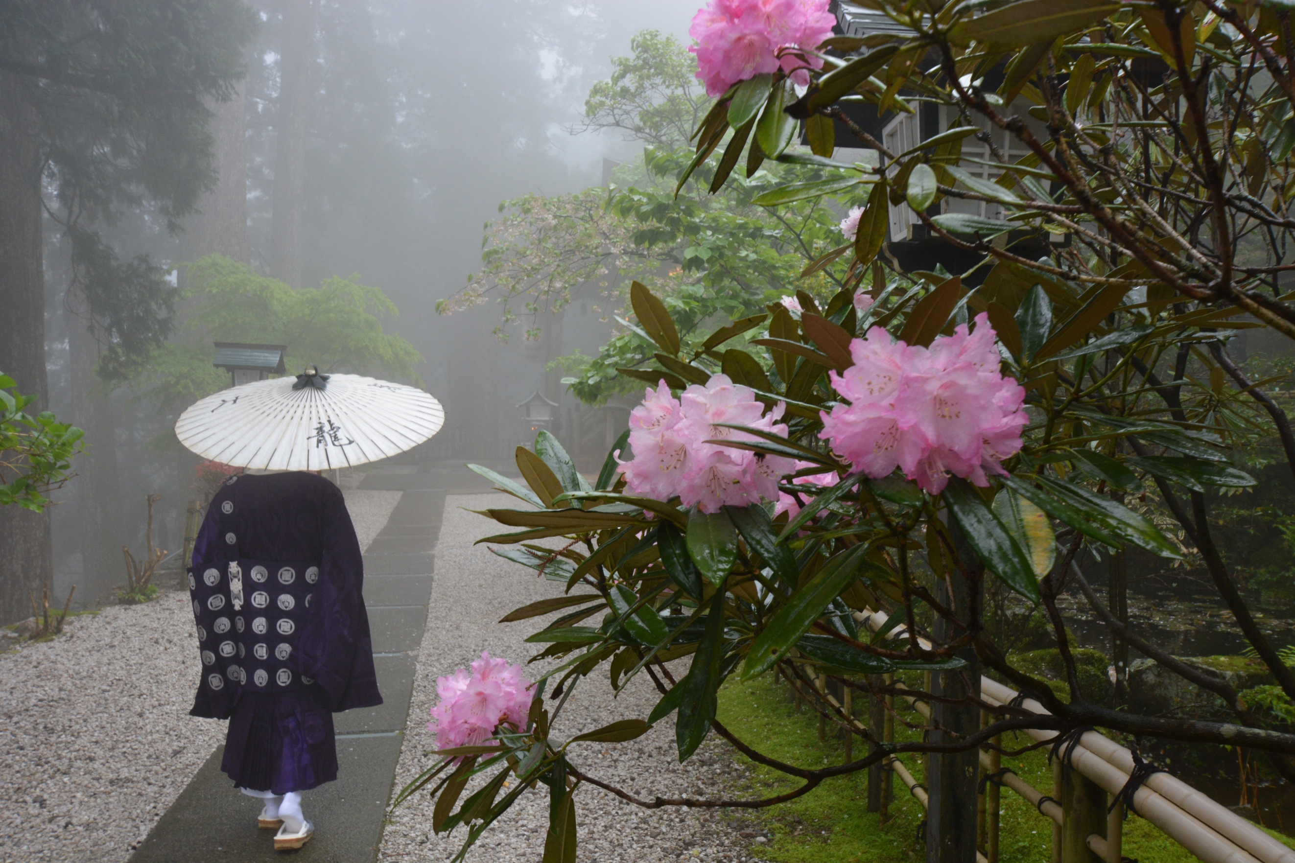 境内の風景