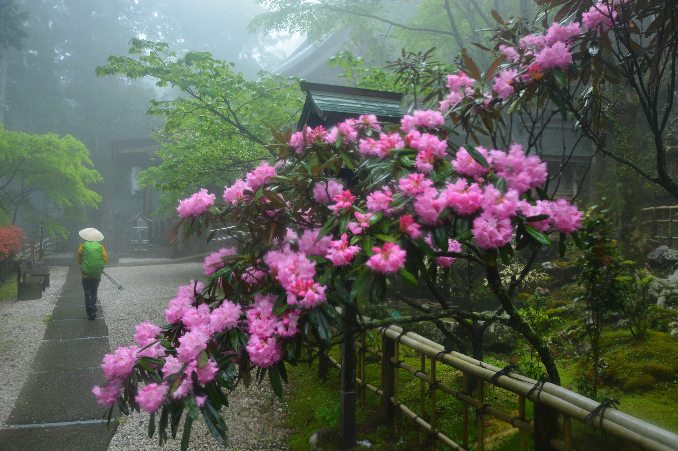 境内の風景