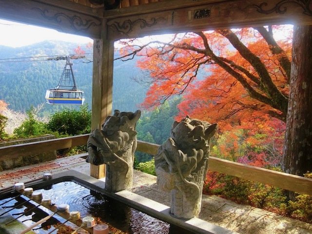 境内の風景