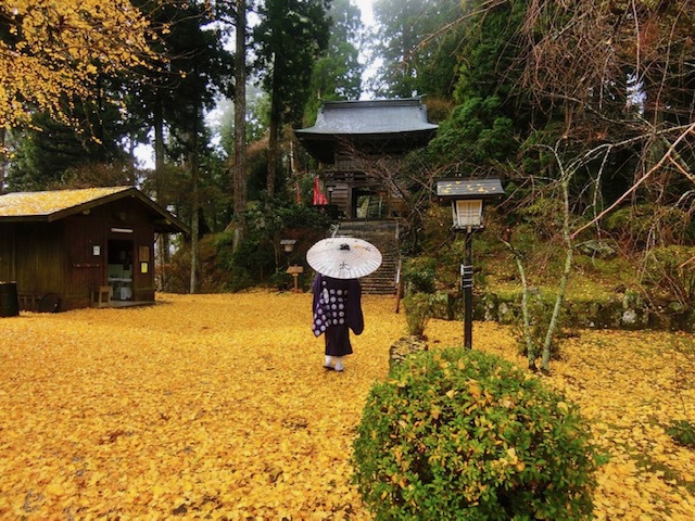 境内の風景