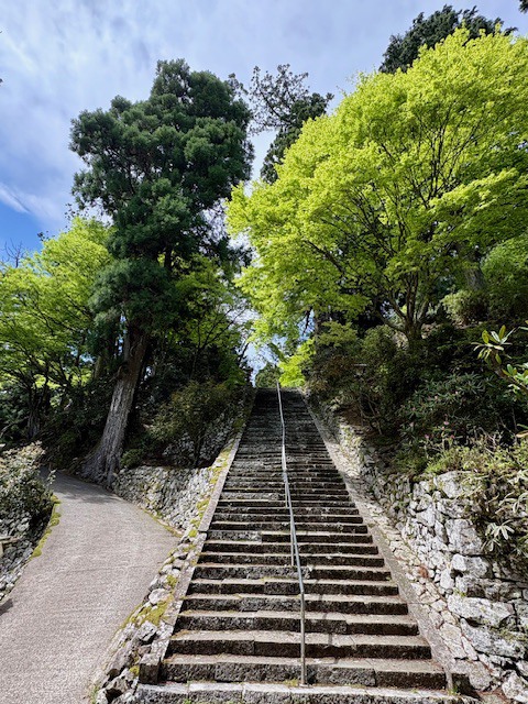 石段と緑