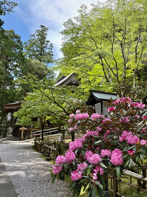 境内の風景